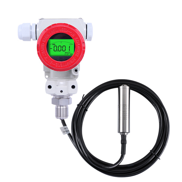 （帶顯示）2088殼體投入式液位計