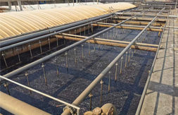 聯測溶解氧儀助力荊門格林美污水處理